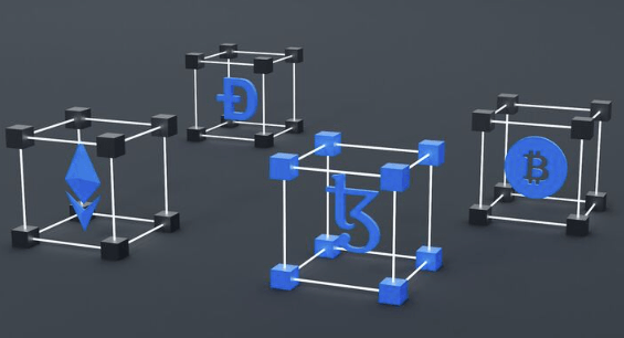 The Role of Validators in PoS Networks